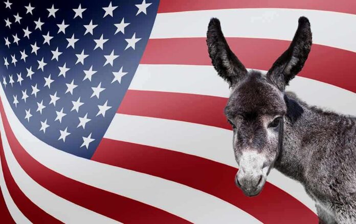 Donkey in front of an American flag