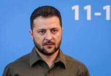 UN Shock: Zelensky Triggers Seoul Backlash man in olive shirt against blue background