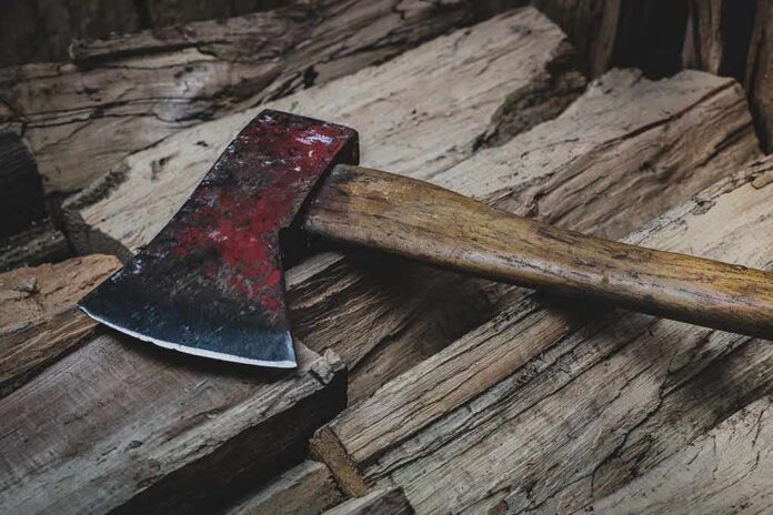 Hatchet with red head resting on split firewood
