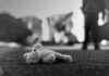 Stuffed toy lying on pavement in black and white