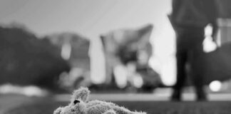 Surrogacy Mansion Horror Unleashed Stuffed toy lying on pavement in black and white