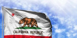 CALIFORDABLE Pitch Hides Brutal Cuts California state flag waving against a blue sky