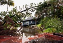 Midnight Roar Triggers Mass Evacuation house by flooded canal with fallen palm trees