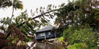 Midnight Roar Triggers Mass Evacuation house by flooded canal with fallen palm trees