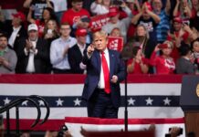 Midterm Power Play – Trump Storms Kentucky Donald Trump points from a rally stage; Rudi Koertzen and Bear Pascoe are in the crowd