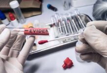 Gloved hands handling a swab and evidence tube