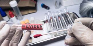 Brother-Marriage Claim Sparks DNA Hunt Gloved hands handling a swab and evidence tube