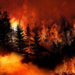 Maui’s Hidden Poison Clouds Lungs Forest wildfire engulfing trees with intense flames
