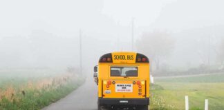 Horrifying NYC Bus Ordeal Exposed Yellow school bus on a foggy rural road