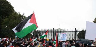 Crowd holding flags and signs outside a fenced government building