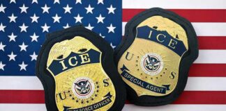 Democrat Introduces Bill To Abolish ICE ICE badges on an American flag background